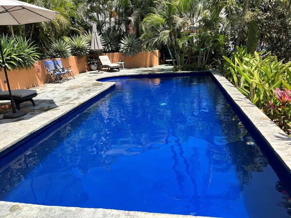Your own private salt water pool