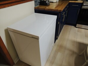 a chest freezer for your catch