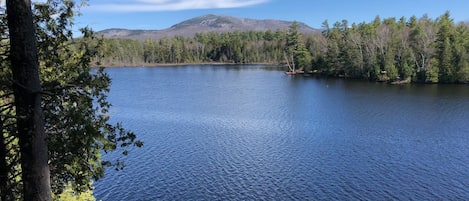 View from Deck