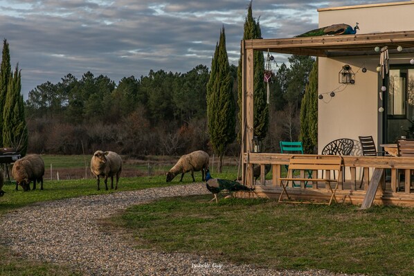 Property grounds