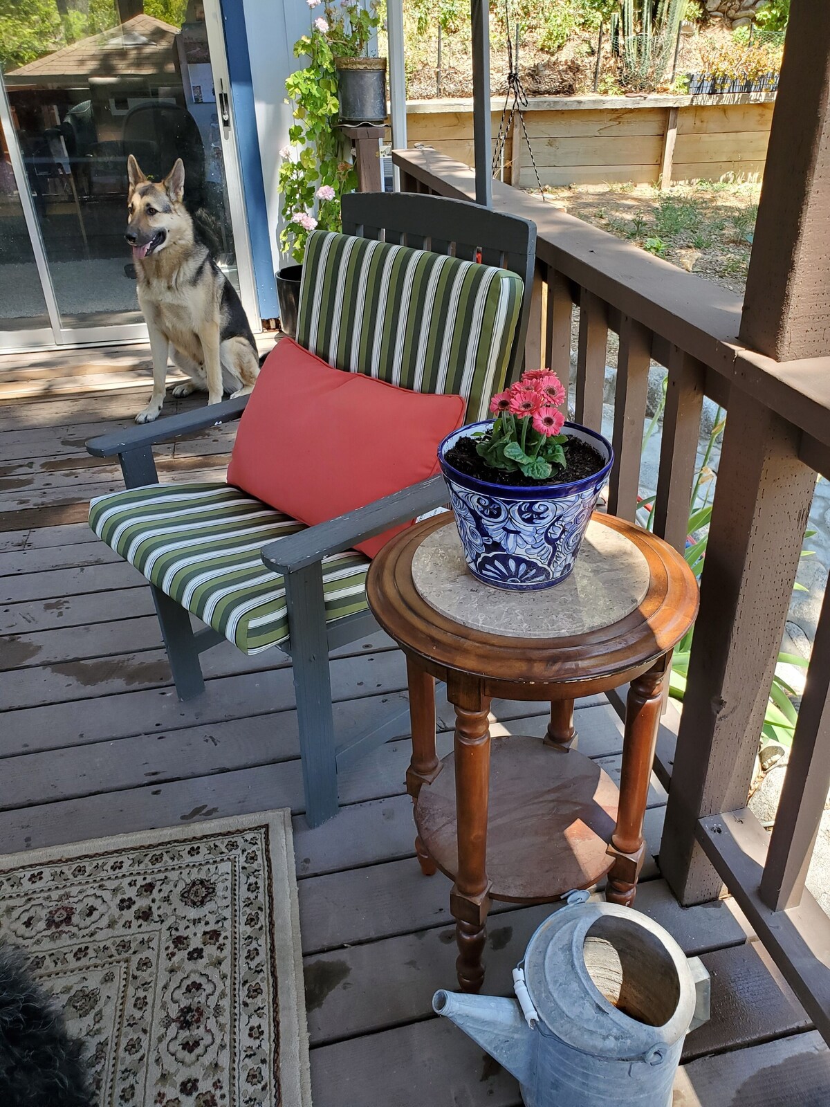 Home available with dog allowed (fenced yard)