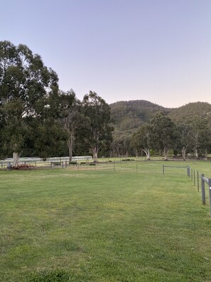 Vineyard views 