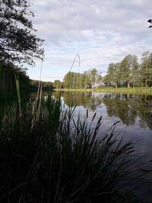 Boendeområde