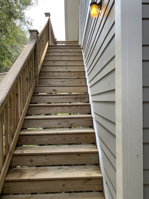 Stairs to entry way 