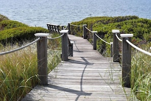 Path to beach