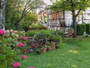 Blume, Pflanze, Gebäude, Fenster, Baum, Blatt, Botanik, Rad, Vegetation, Gras