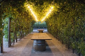 Lighted 60ft grapevine pergola with 2 14 ft wine barrel tables 