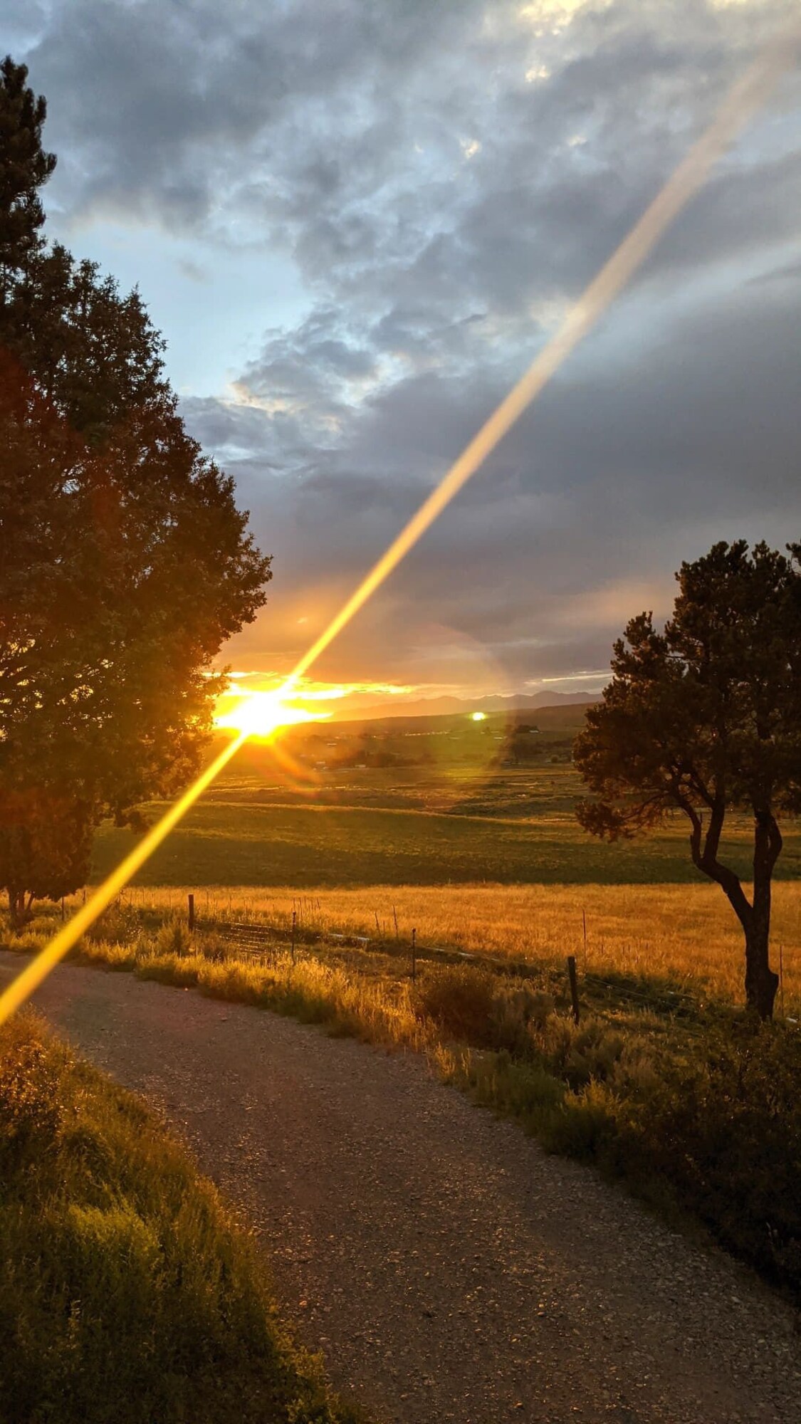 Rural Retreat Tiny Home With Beautiful Colorado Views! Dog friendly.