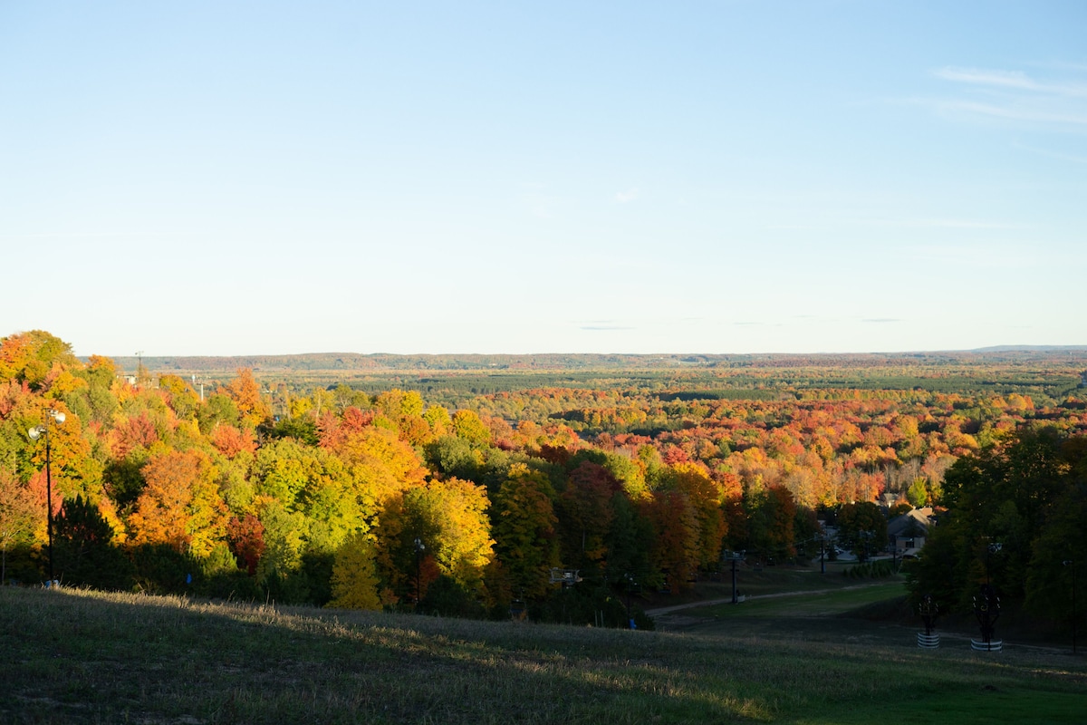 Cozy 4-Season Mountaintop Condo at Crystal Mountain Resort – Thompsonville, MI!