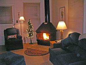 Living room and fireplace
