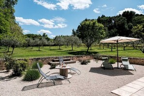 Terrasse avec vue sur les oliviers et le parc