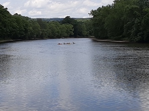 kayake, swim, float or fish on the Susquehanna river