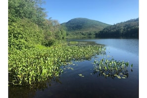 View of Bald Mountain from the private dock.