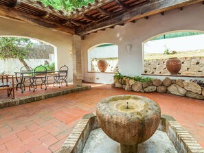Plant, Property, Flowerpot, Wood, Couch, Botany, Interior Design, Table, Houseplant, Living Room