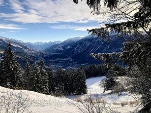 Wolke, Himmel, Berg, Pflanze, Schnee, Natürliche Landschaft, Steigung, Lärche, Ast, Sonnenlicht