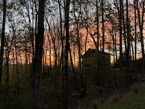 Treetop House Brevard at sunset.