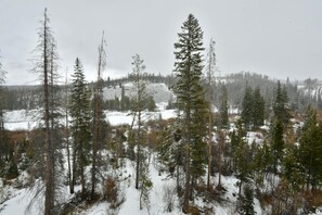 Terrain de l’hébergement 