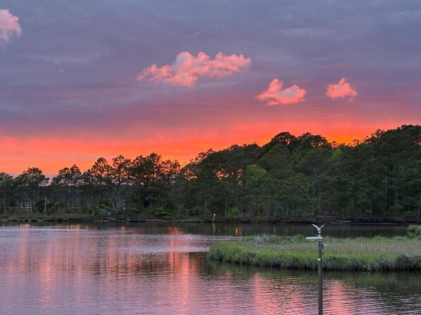,Back view sunset,