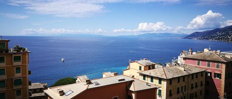 Beach/ocean view