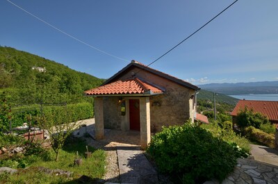 Picture of villa
