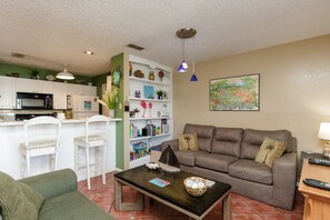 Living area with full size sleeper sofa
