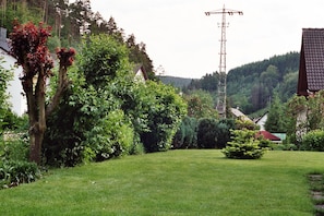 Trädgård