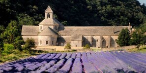 Site d’intérêt