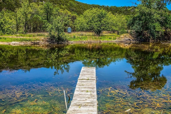 A convenient dock leads you right to the spring-fed pond on the property. It's a great spot for fishing, kayaking, and tubing!