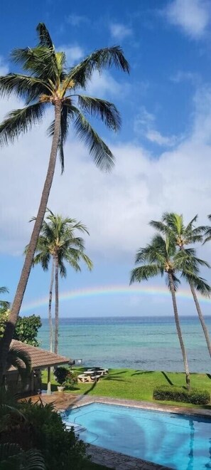 Rainbow sighting from the private Lanai!