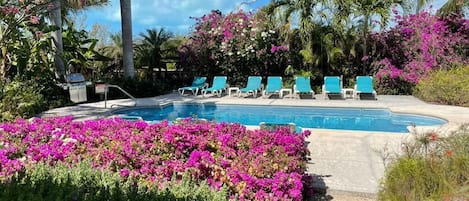 How about a morning lap in the tropical garden pool?