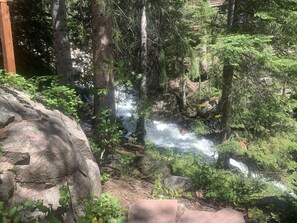 Creekside patio