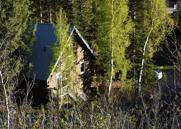 Columbine Cabin Vail