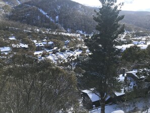 Utsikt från luften