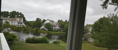 Sun Porch View

