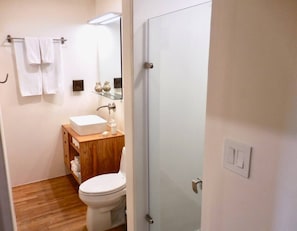 Bathroom with fabulous shower and heated bidet seat.