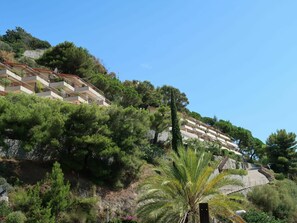 Ciel, Bâtiment, Plante, Communauté Des Plantes, Arbre, Végétation, Arecales, Maison, Paysage Naturel, Quartier