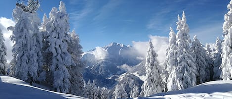 Esportes de neve e esqui