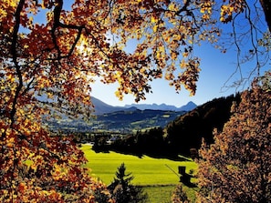 Ferienwohnung Pyhrgasblick
