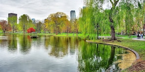 Public Garden