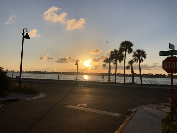 View from the porch 