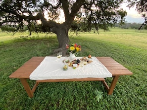 Welcome to our ranch! We’ve got a perfect picnic spot waiting for you❤️