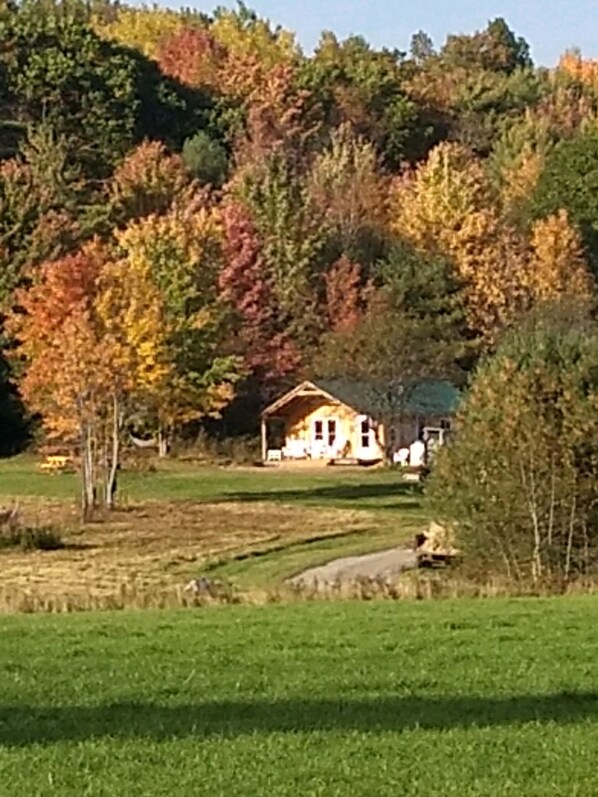 Övrigt