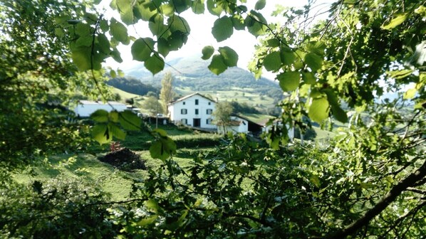 Boendeområde