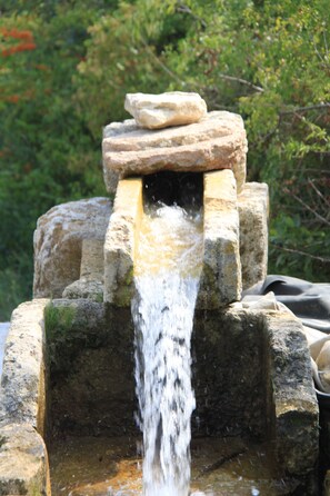 Terrain de l’hébergement 