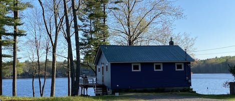 View from driveway