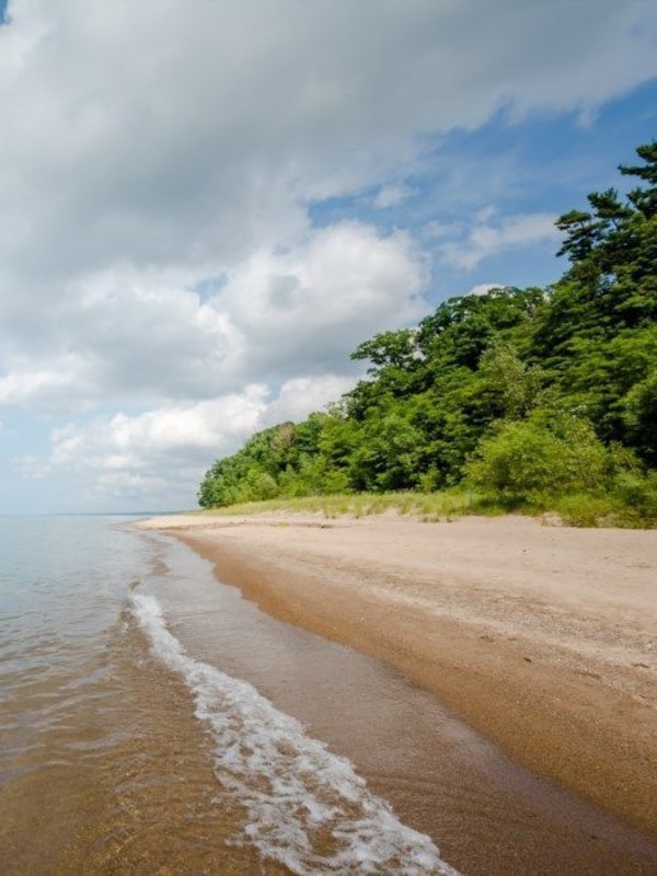 New Buffalo Beach
