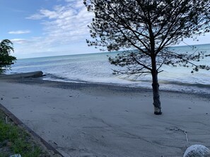 The sandy private beach with a tree