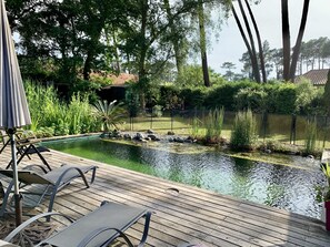 Piscine naturelle / bains de soleil