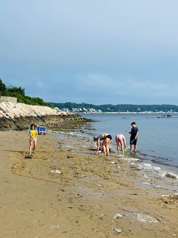 Clamming