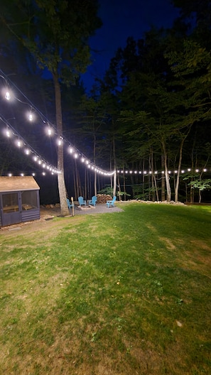 16 colored overhead Festoon lights for whatever mood you are feeling.